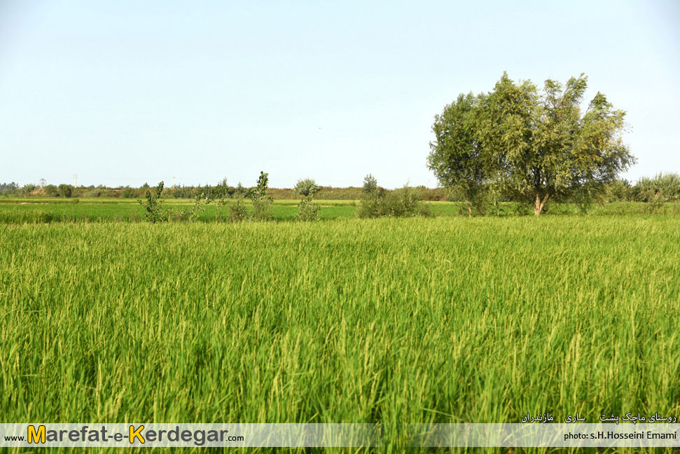 روستای ماچک پشت